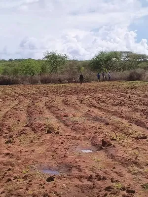 16 Acre At Mailua, Mile Tisa, Ready To Make You Money, Dragon Fruits
