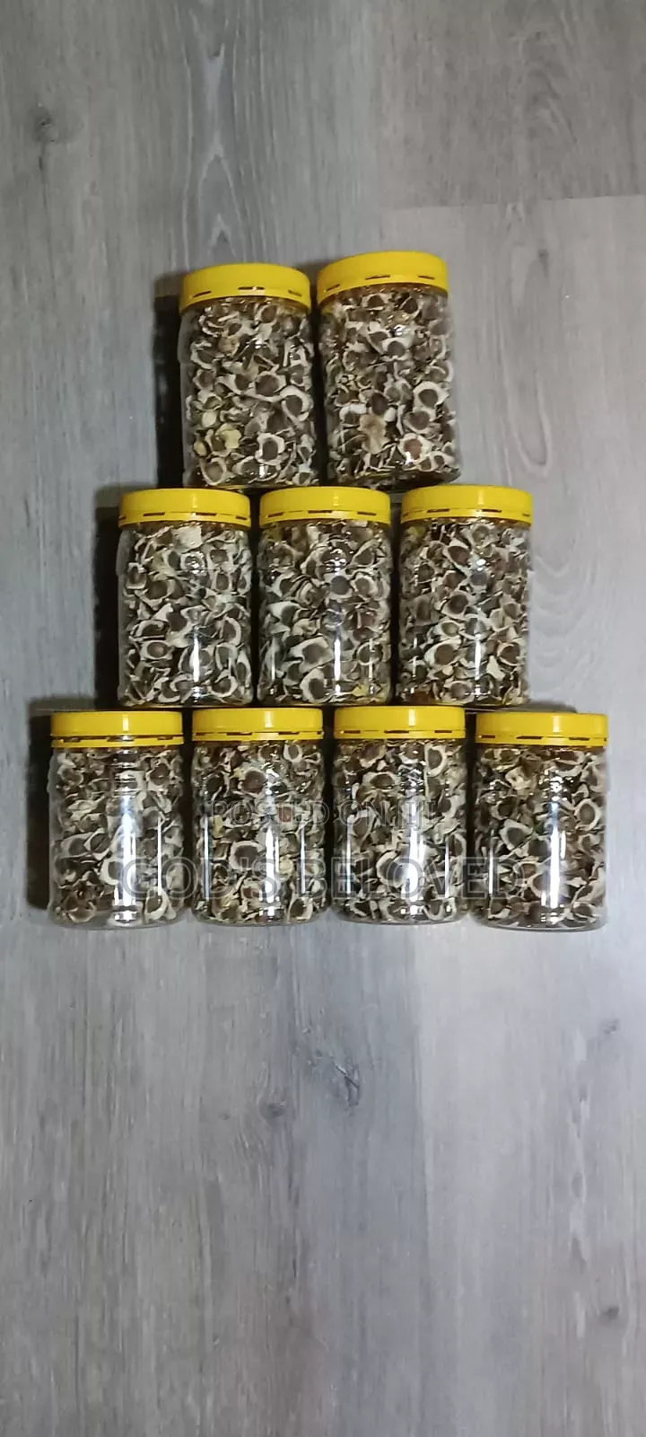 Moringa Seeds