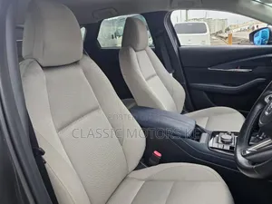 Mazda CX-30 2019 Gray