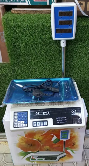 40kg Digital Weighing Scale With Arm
