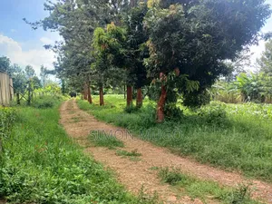 Muranga Maragua Summary 4 Ac With Piped Water and 3phase Power Line