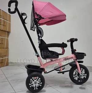Pinky Tricycle Scooter With Canopy