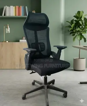 Office Furniture : Orthopedic Office Chair