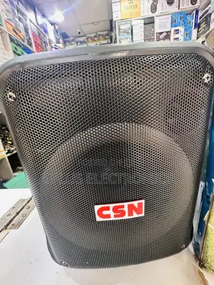 CSN 802 8 Inch, Rechargeable Speaker With 2 Microphones– Portable