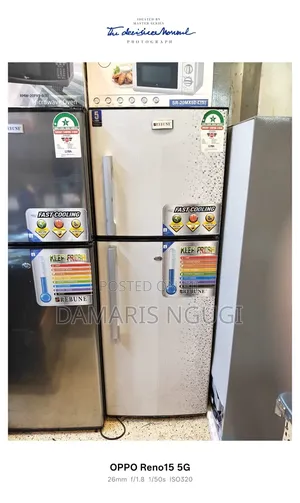 Silver Rebune Refrigerator