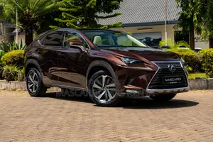 Lexus NX 300 AWD 2018 Brown