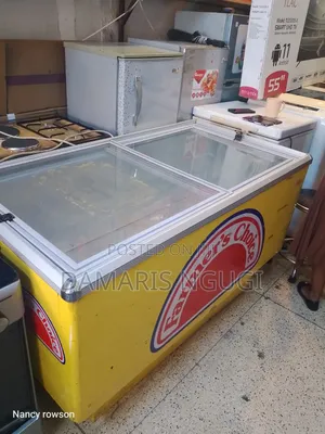 Display Freezer (550litres)