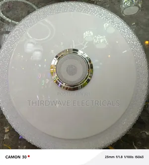 Full Moon Led Ceiling Light With A Built-in Bluetooth Speaker