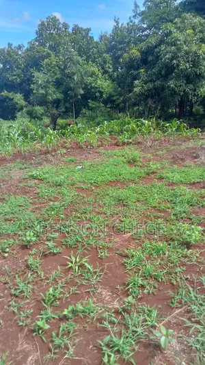 1acre Land for Sale at Maragua Ridge