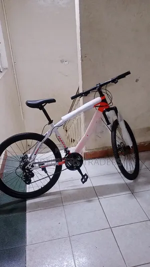 Bicycle Size 26