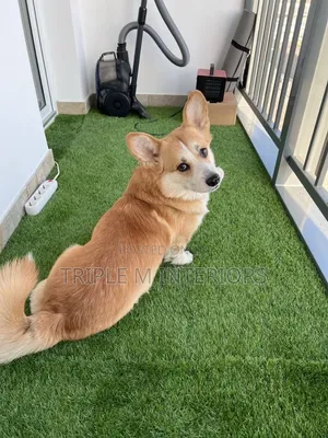 Comfortable Turf Carpet for Kids, Pets Family Use