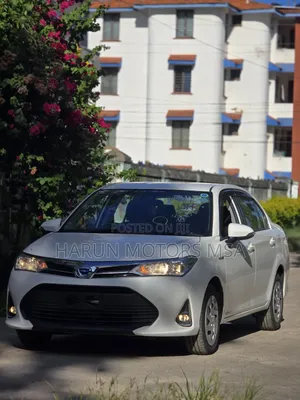 Toyota Axio 2019 White
