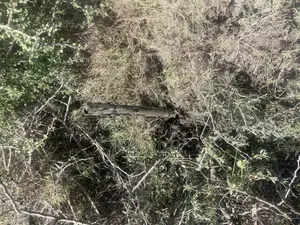 20acres for Sale in Kajiado 400 Per Acre Selling as a Block