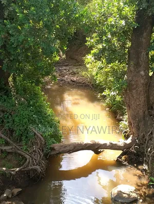 4 Acres Nanyuki Lolodaiga