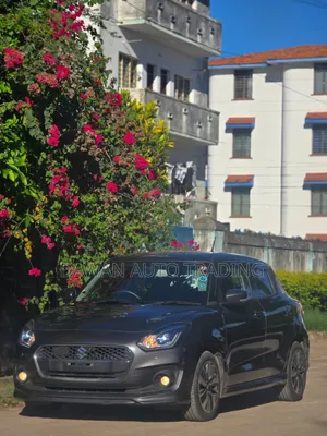 Suzuki Swift 2019 Gray