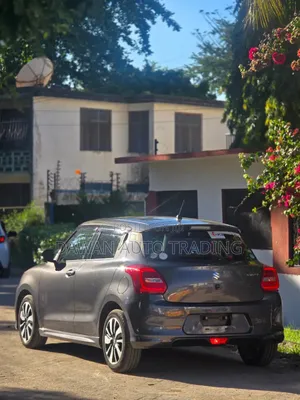 Suzuki Swift 2019 Gray