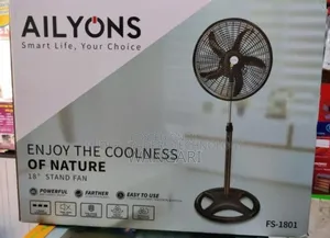 Bigger Size Ailyons 18inch Fan.
