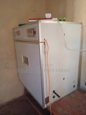 Automatic Incubator