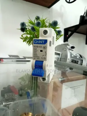 Chint MCB Single Pole 2a