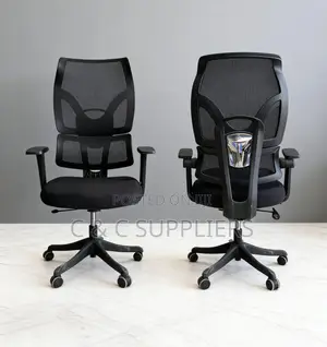 Orthopedic Ergonomic Chair
