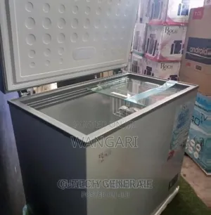 Imported Roch 200l Freezer