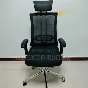 Modern Orthopaedic Office Chair