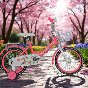 Babyride Bike for Girls Size 20