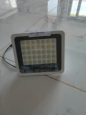 Strong Brightness TZL 100w Floodlight