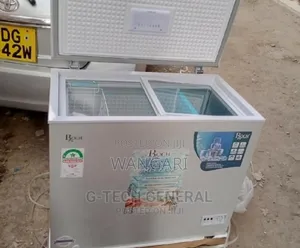 Chest Freezers Roch 251l Freezer