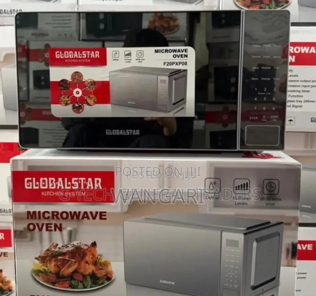 Modern 20l Globalstar Microwave