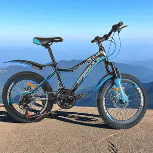 Size 20 Unirox Kids MTB Bike