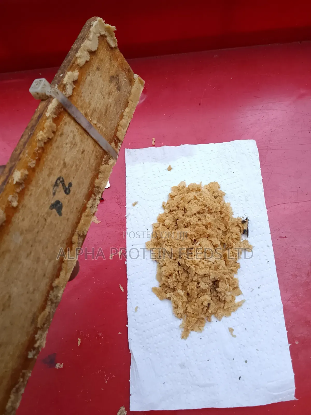 Black Soldier Fly(Bsf)Eggs