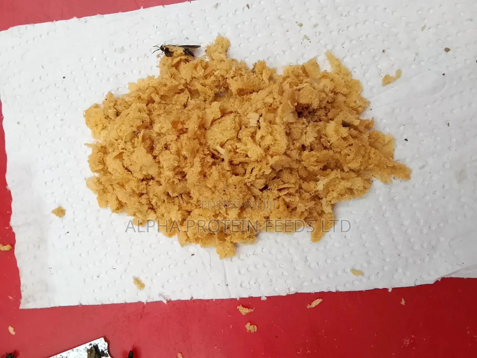 Black Soldier Fly(Bsf)Eggs