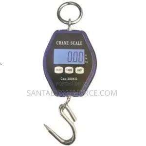 Heavy-duty Digital Hanging Crane Scale (300kg Capacity)
