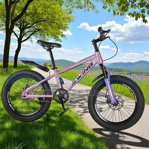 Swing Fat Bicycle for Kids Size 20
