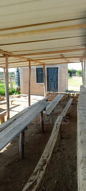 Prime Horticultural Farm for Sale – Naromoru