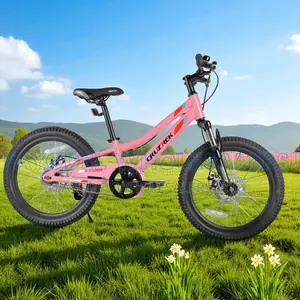 Size 20 Cruztrek Girls Bike