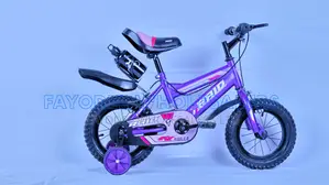 Raid Size 12 Kids Bike With a Free Water Bottle