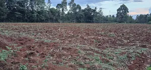 1 a Re for Sake in Simat Kipkenyo Eldoret