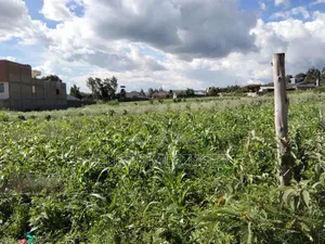 Land for Sale in Naivasha