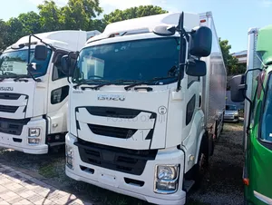 Isuzu Giga 2018 White