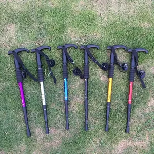 Anti Shock Ultralight Telescopic Walking Sticks-Nordic Walking Sticks