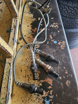 Oxygen Sensors