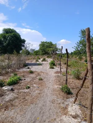 Jacaranda 50x100 Prime Beach Plot
