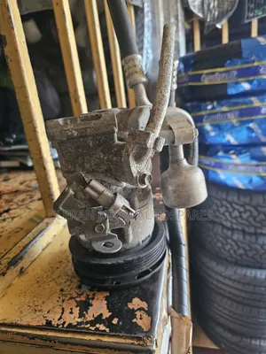 1nz Ac Pumps
