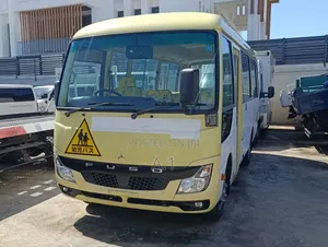 Mitsubishi Fuso Rosa 2019 Beige