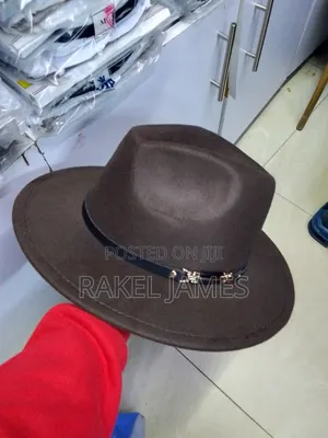 Dark Brown Fedora Hat