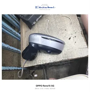 Nissan Note 2014-2018 Sidemirror With Indicator