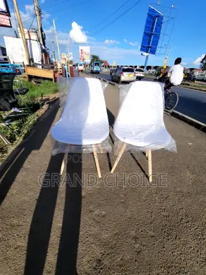 Plastic Salon Chair