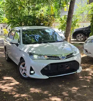 Toyota Axio 1.5 Hybrid G 2WD 2019 Pearl